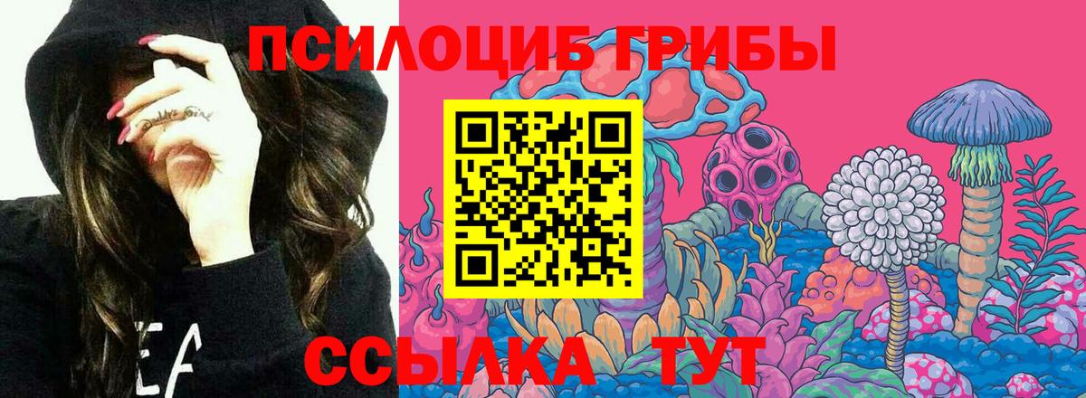 Галлюциногенные грибы мицелий Магадан